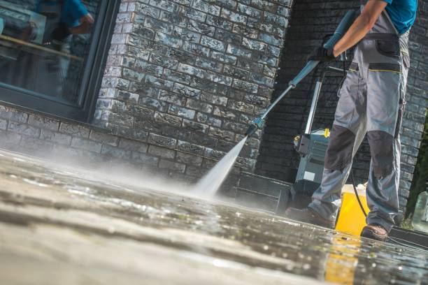 Best Animal Enclosure Cleaning  in Coats, NC
